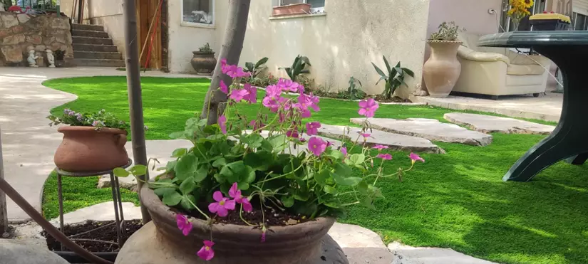 התקנת דשא סינתטי בבית פרטי 4